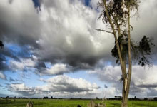 国字号三遇沙特！国少U17亚洲杯首战对阵沙特，此前国足&国青均负.