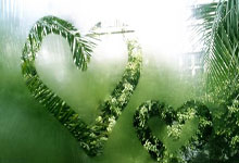 B体育：罗布森：拉什福德不该转会至维拉，他应该为曼联全力以赴.